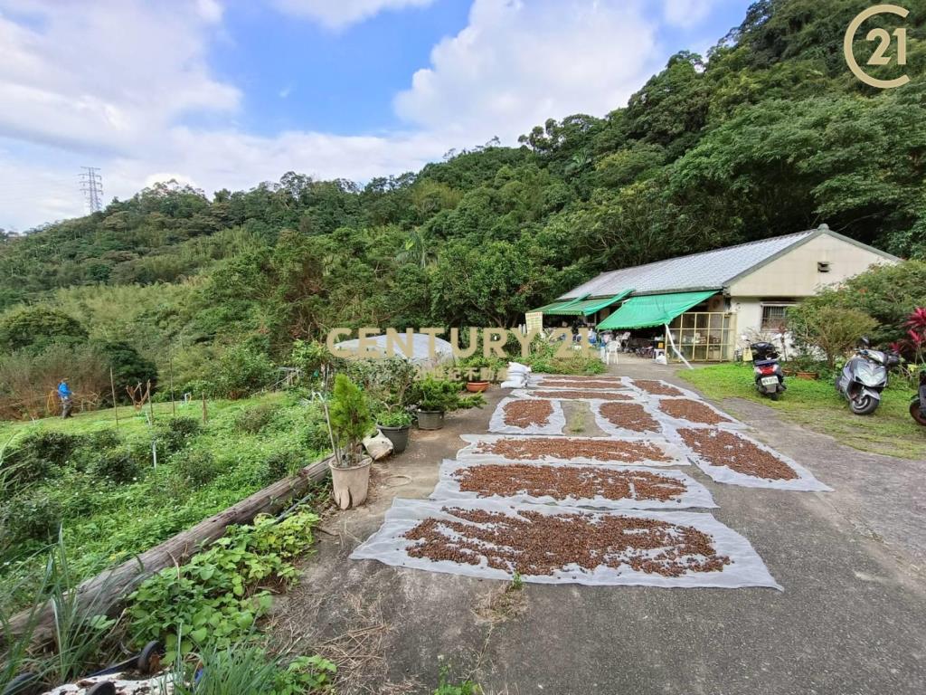 文山老泉里依山傍水風水寶地