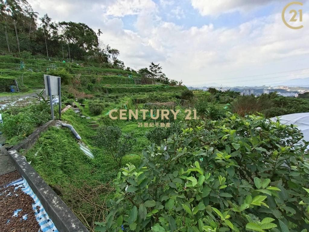 文山老泉里依山傍水風水寶地