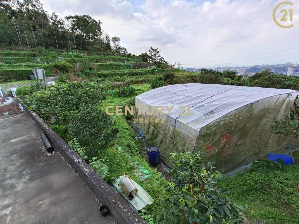 文山老泉里依山傍水風水寶地