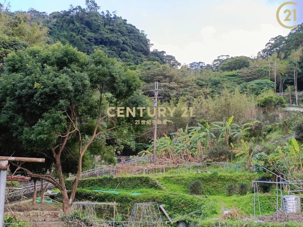 文山老泉里依山傍水風水寶地