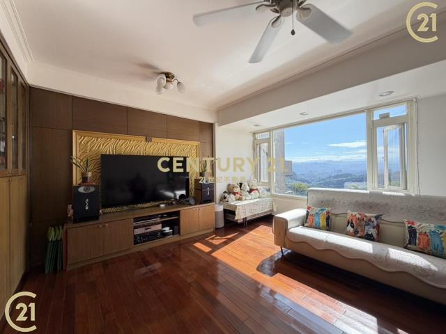 瑞士山莊典雅透天