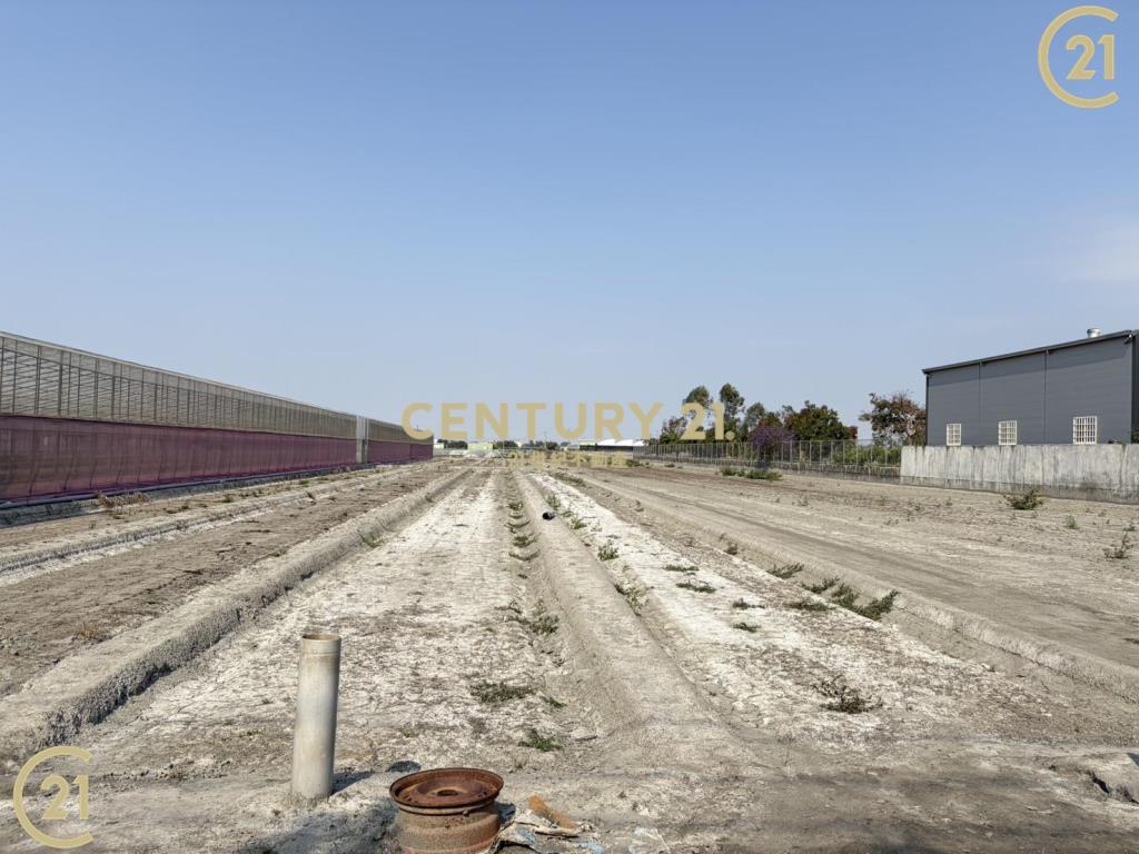 雲林縣莿桐農地