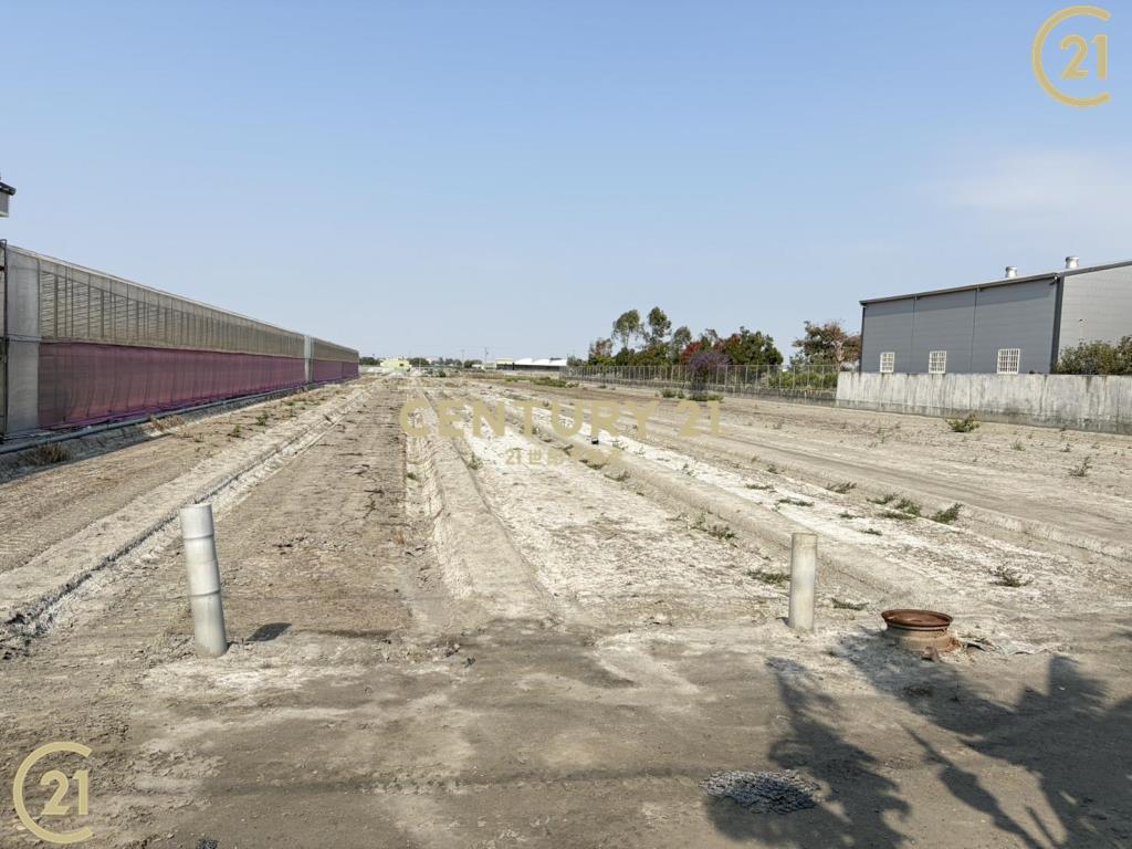 雲林縣莿桐農地