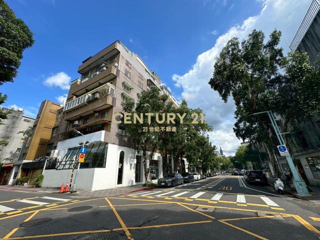 新中挑高鎮金殿