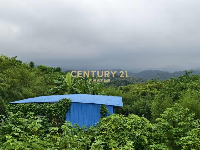 永和山製茶廠旁農地