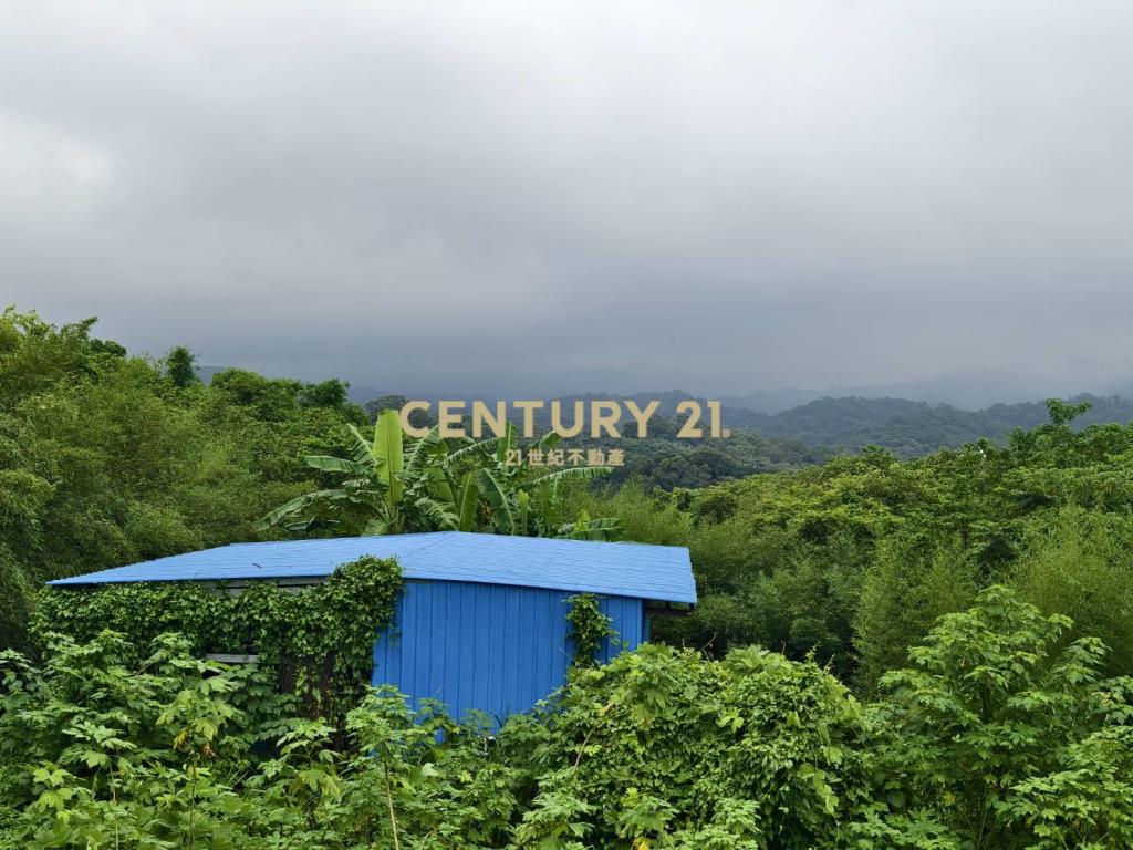 永和山製茶廠旁農地