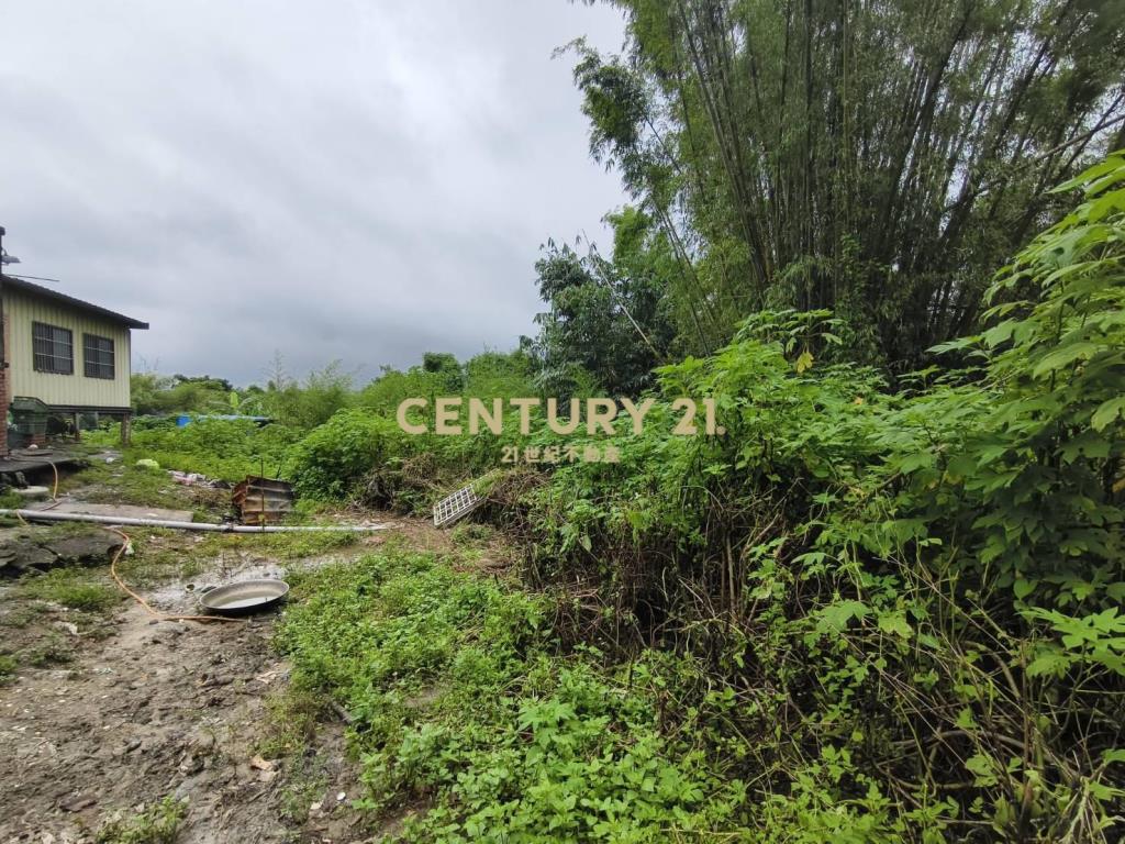 永和山製茶廠旁農地