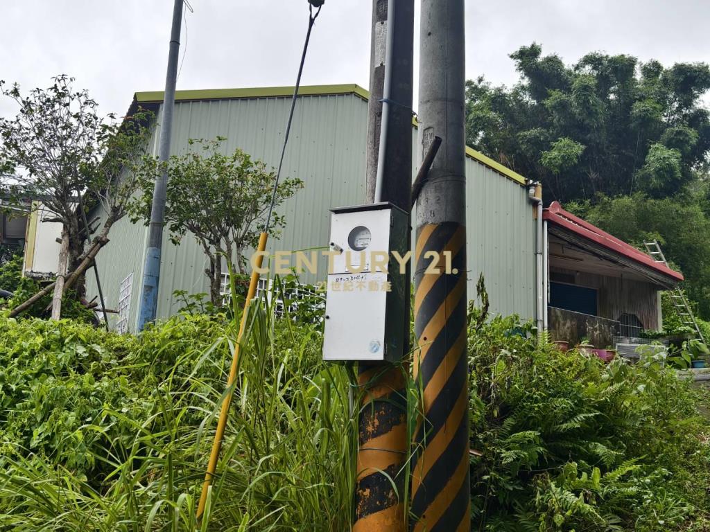 永和山製茶廠旁農地