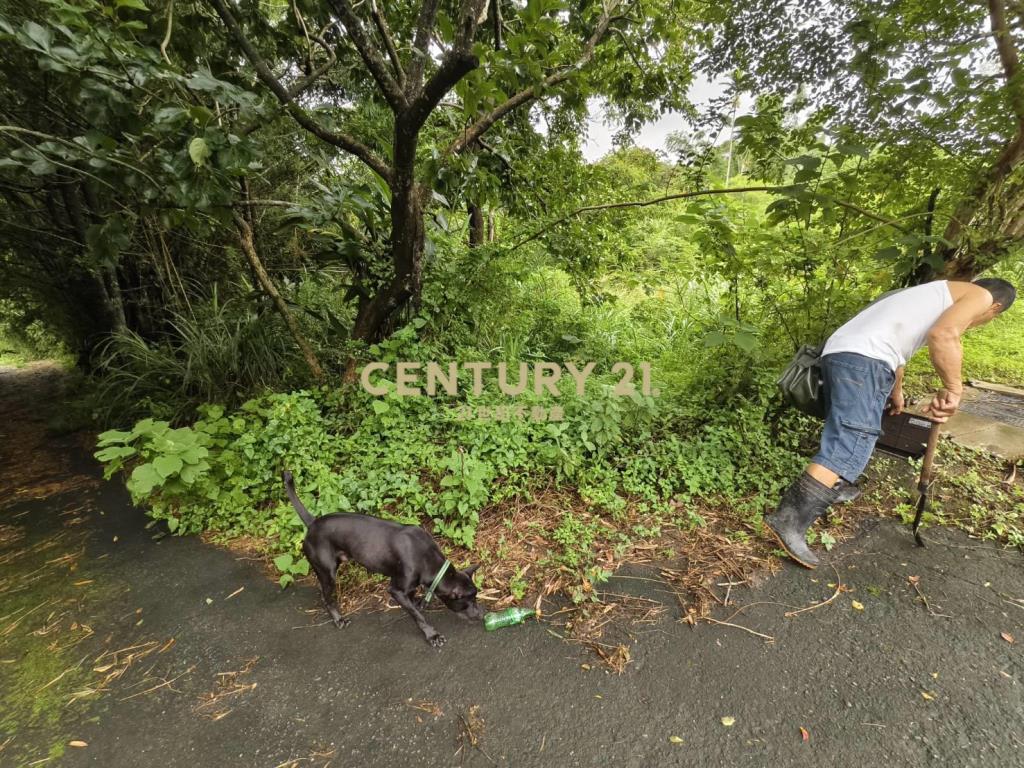 永和山製茶廠旁農地