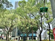 敦南綠景純辦