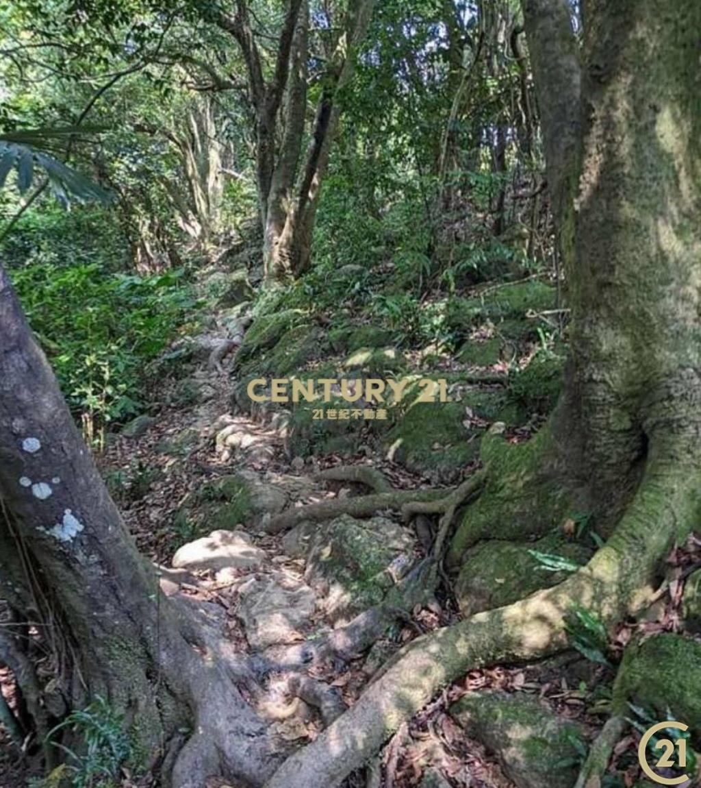 (146)鳶山石來運轉福氣寶地