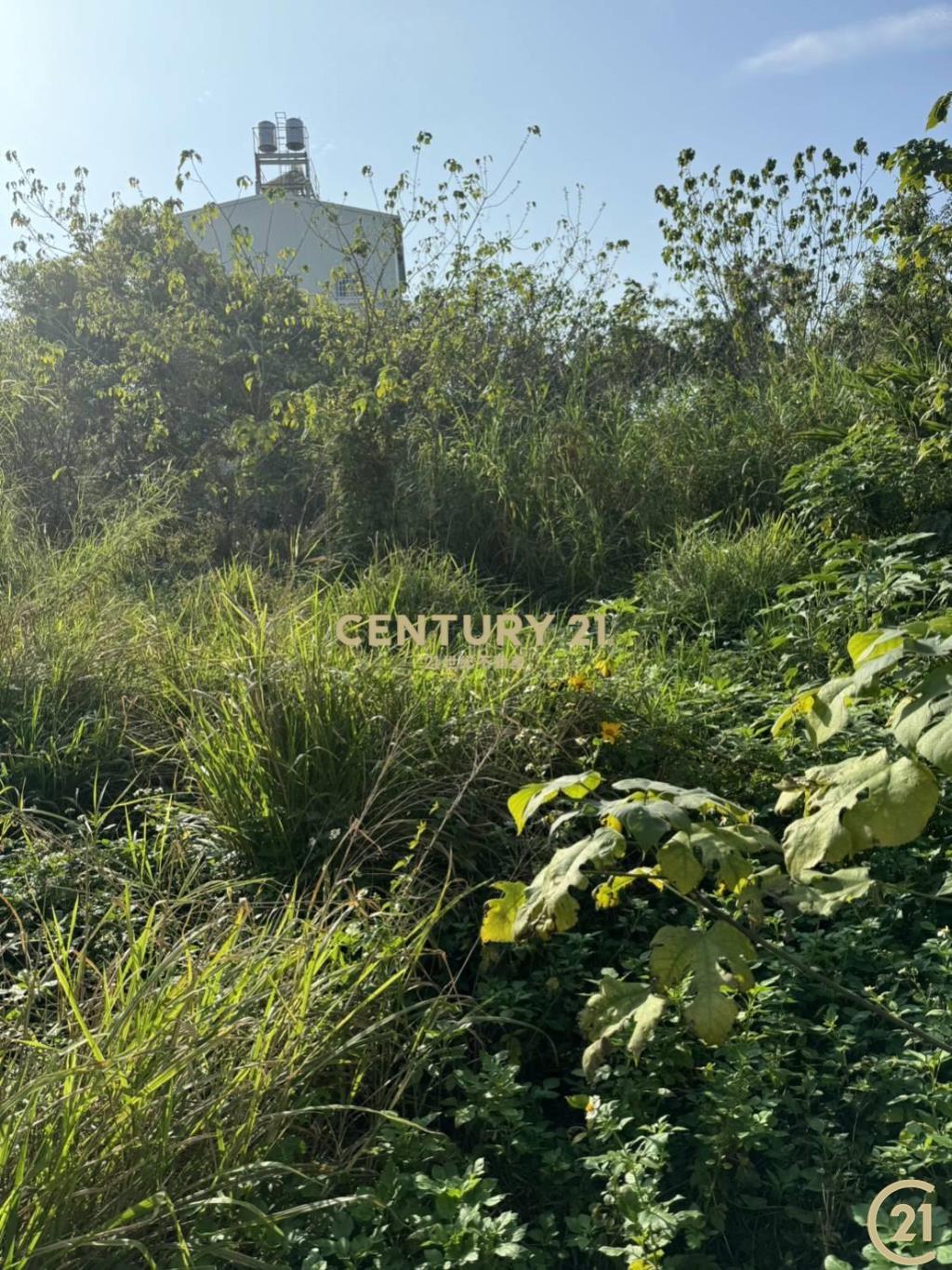 (302)后科旁工業用地