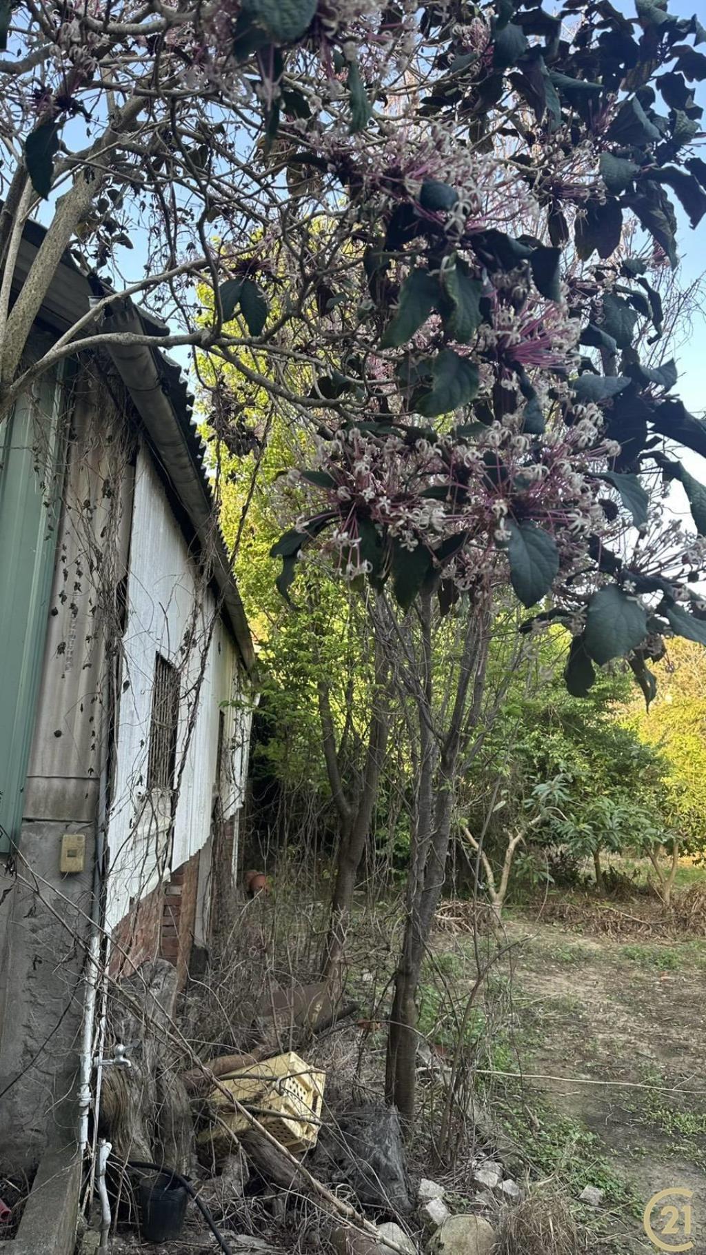 (304)后科工業用地(二)