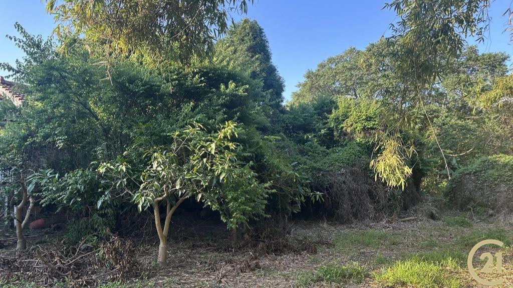 (304)后科工業用地(二)