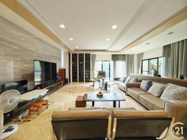 (199)透天電梯別墅