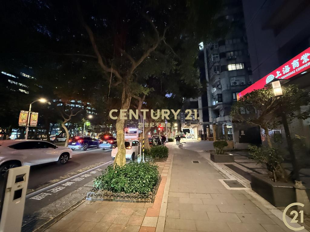 (156)信義敦南樹海2房