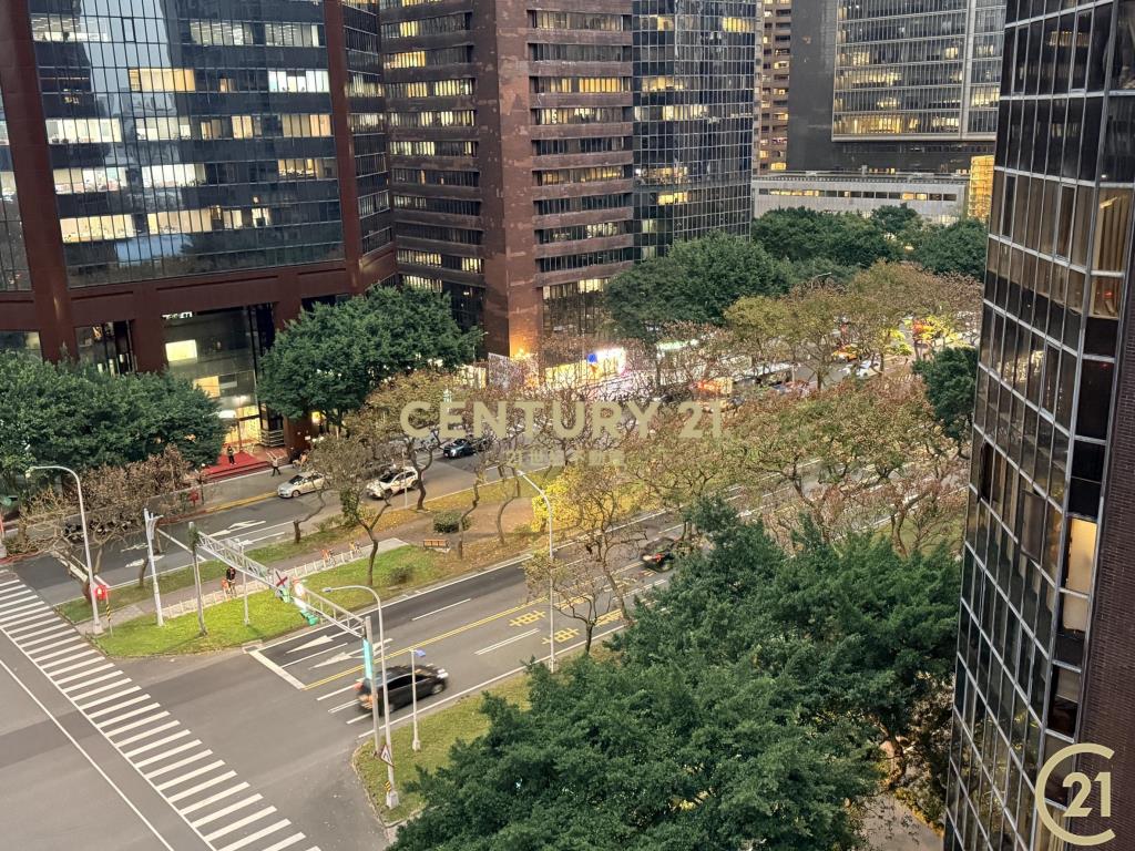 (156)信義敦南樹海2房