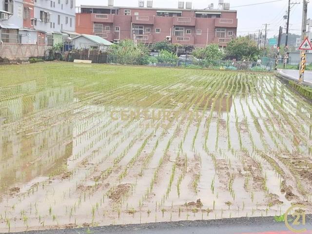 (305)桃園八德和平路農業用地