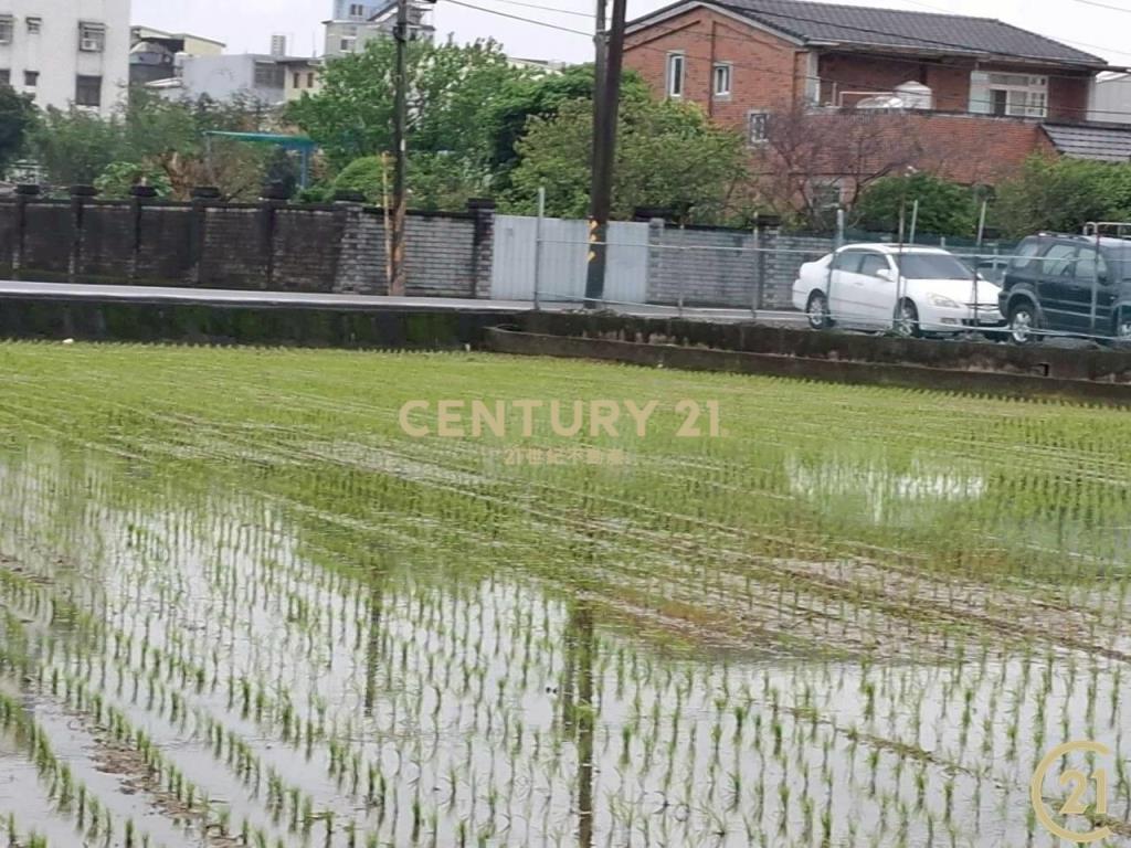 (305)桃園八德和平路農業用地
