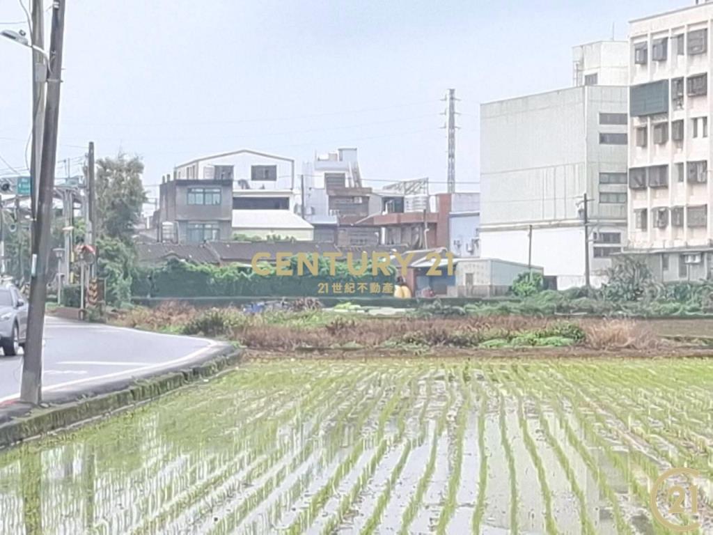 (305)桃園八德和平路農業用地