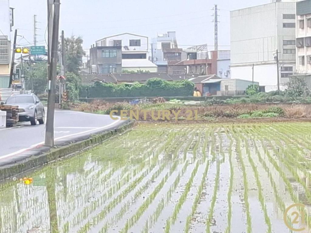 (305)桃園八德和平路農業用地