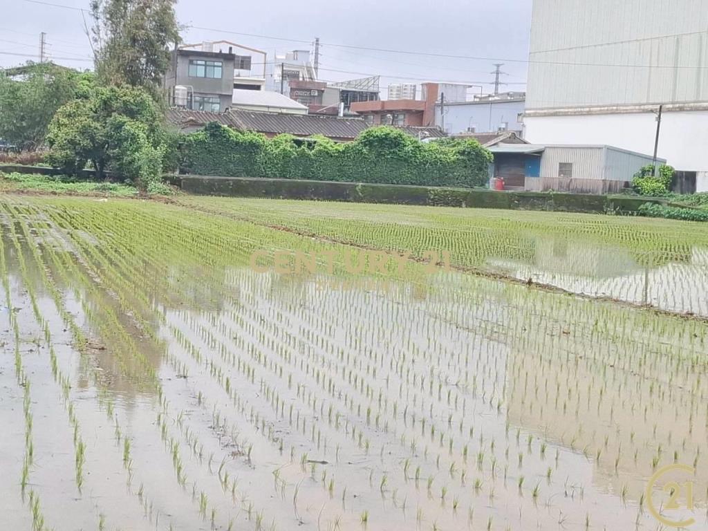 (305)桃園八德和平路農業用地