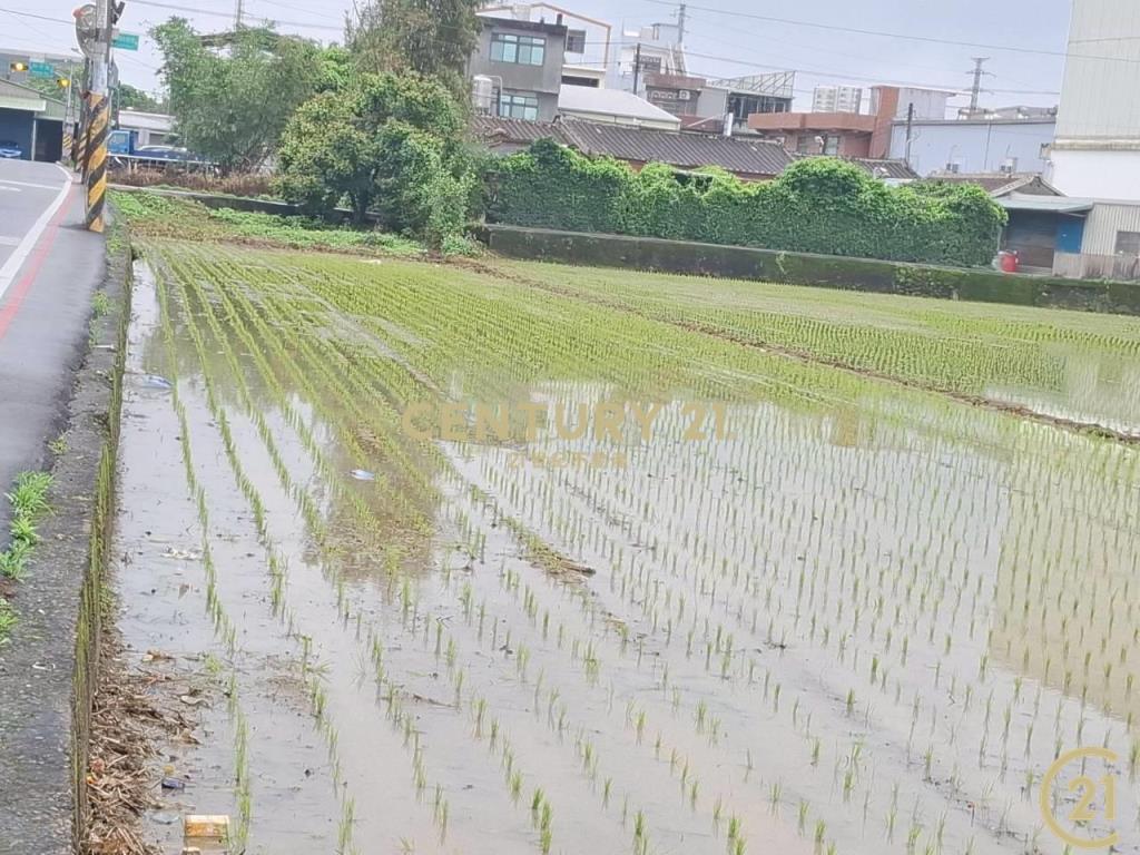 (305)桃園八德和平路農業用地