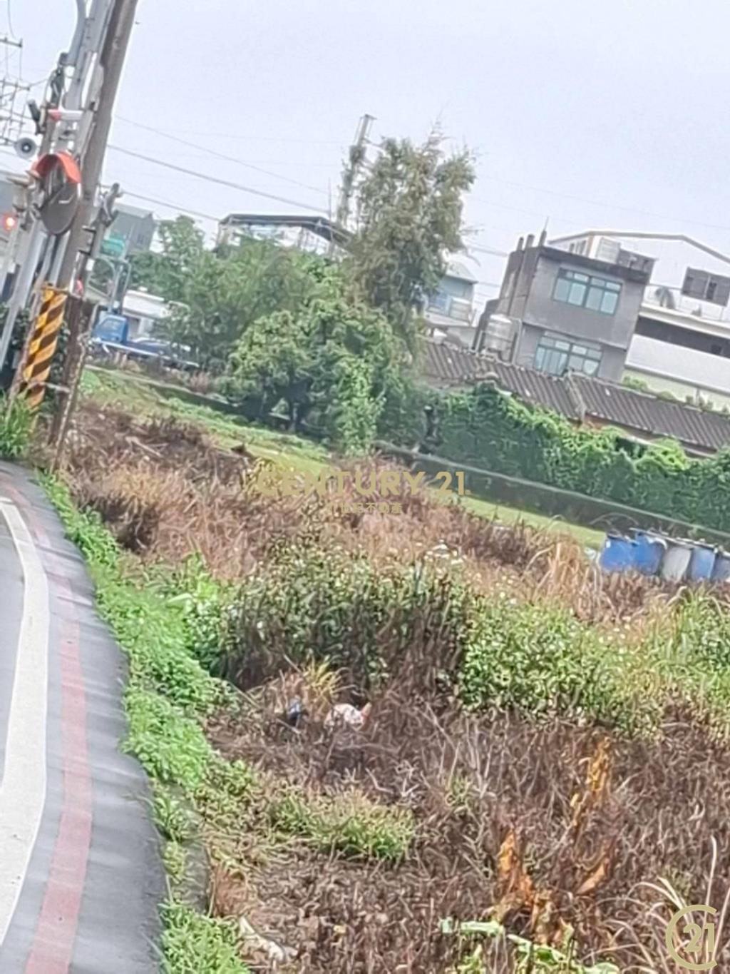 (305)桃園八德和平路農業用地