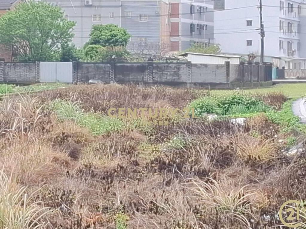 (305)桃園八德和平路農業用地