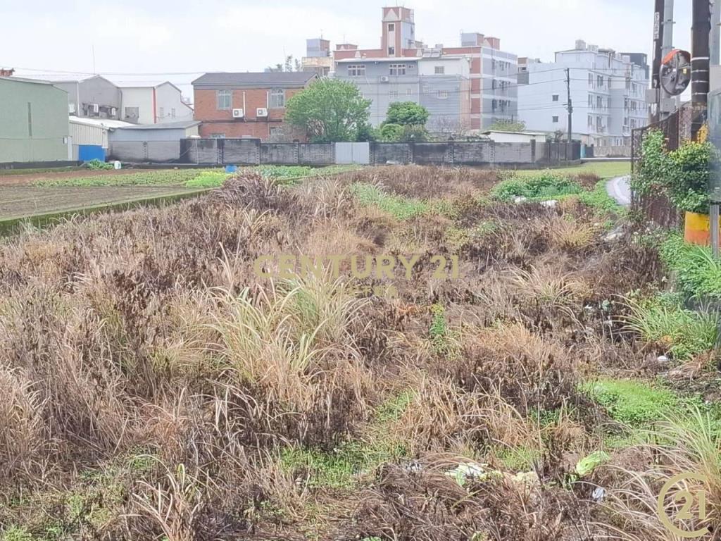 (305)桃園八德和平路農業用地