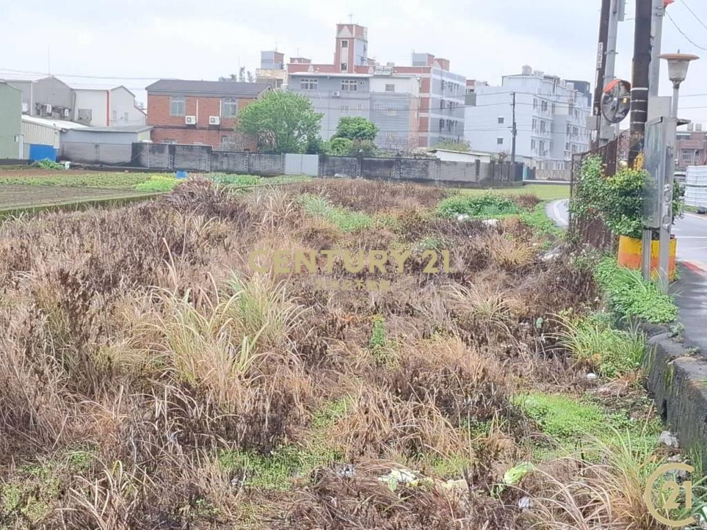 (305)桃園八德和平路農業用地