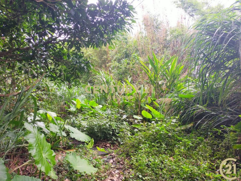 (108)陽明山平菁街農林地