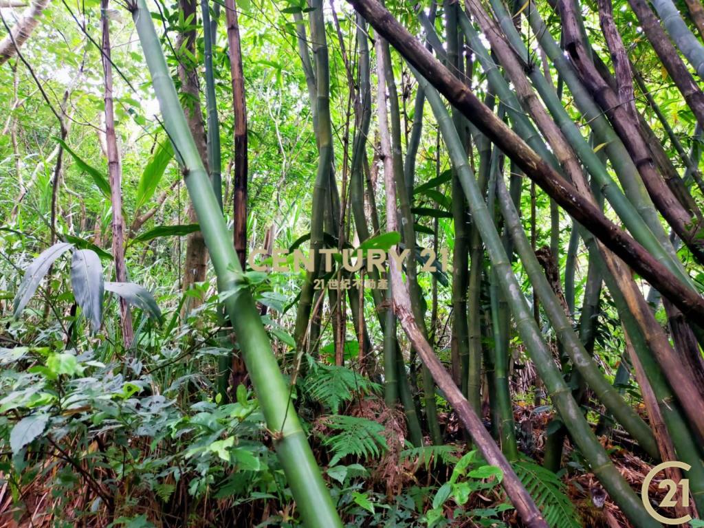 (108)陽明山平菁街農林地