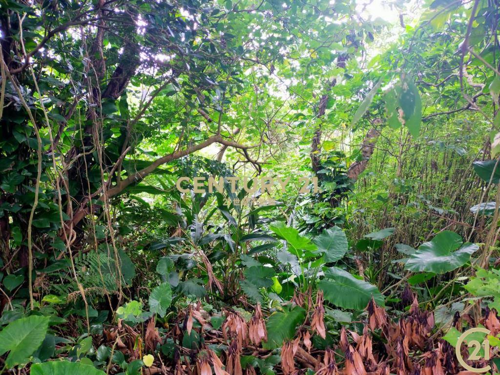 (108)陽明山平菁街農林地