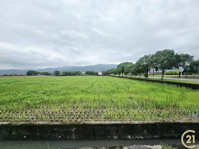 221專任三星15米中山路超大面寬農地
