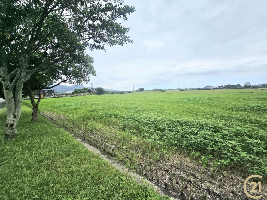 221專任三星15米中山路超大面寬農地