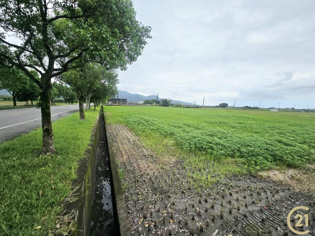 221專任三星15米中山路超大面寬農地