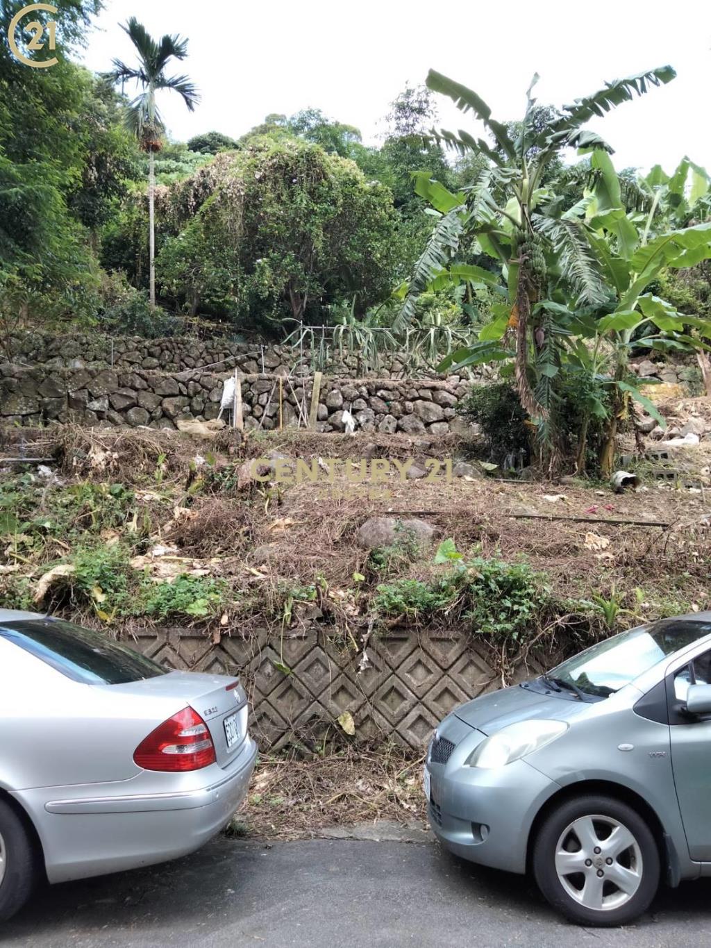 稀有市區臨路土地