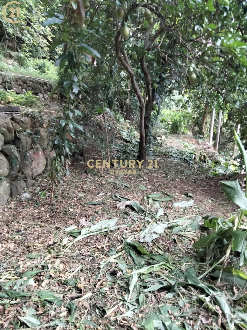 稀有市區臨路土地