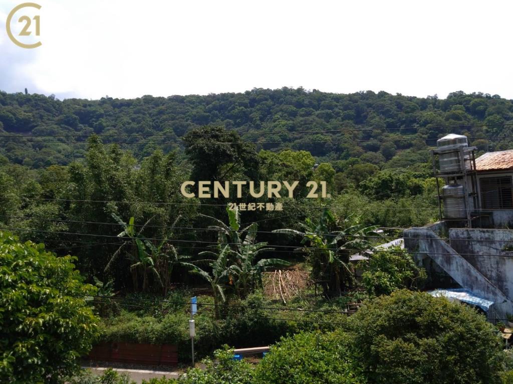 陽明山庭院透天