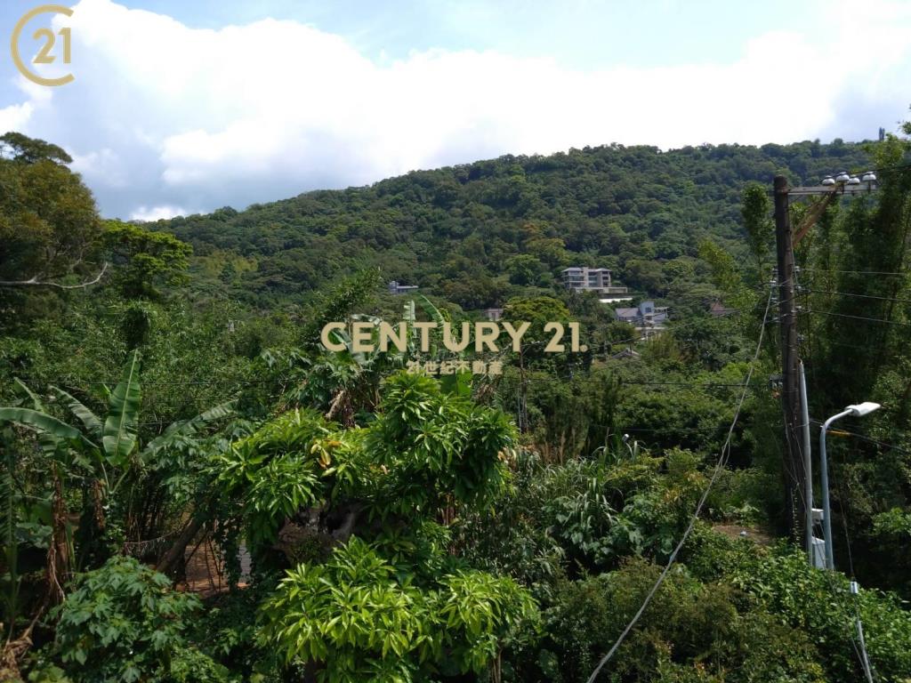 陽明山庭院透天