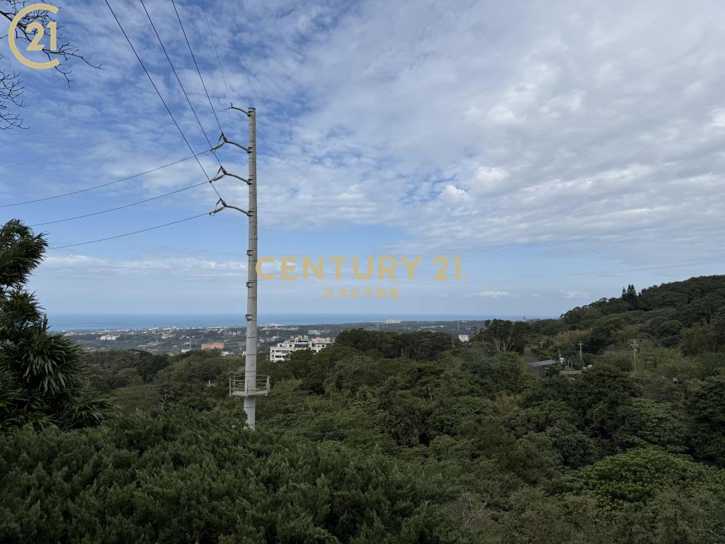 淡水泳池別墅千坪大土地