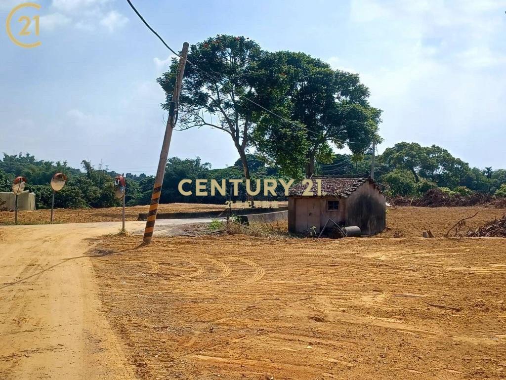 台南市大內平整美農地(一)