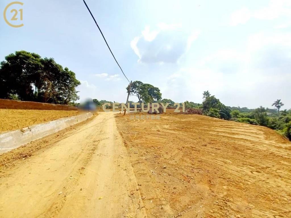 台南市大內平整美農地(一)