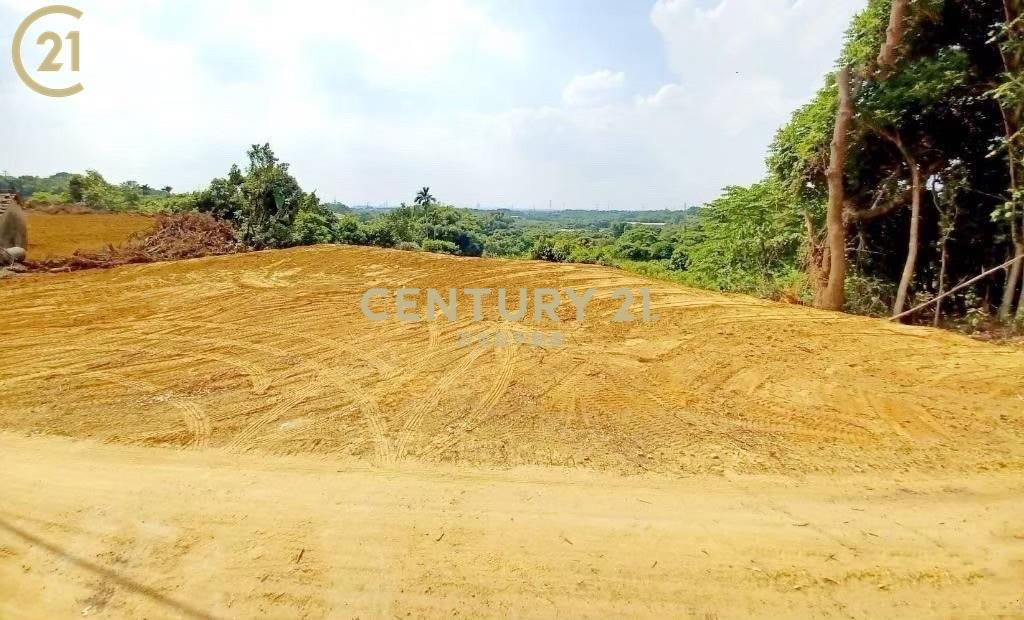 台南市大內平整美農地(一)