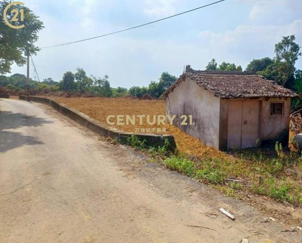 台南市大內平整美農地(二)