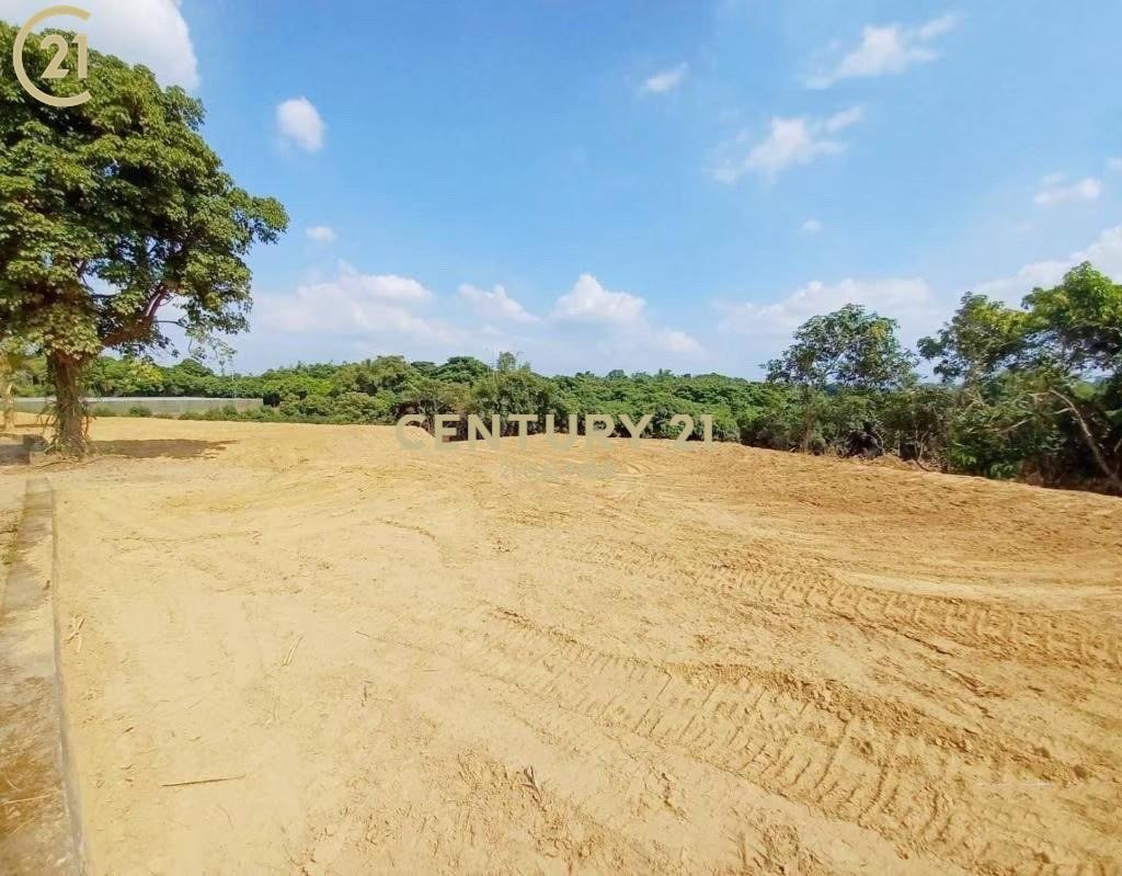 台南市大內平整美農地(二)