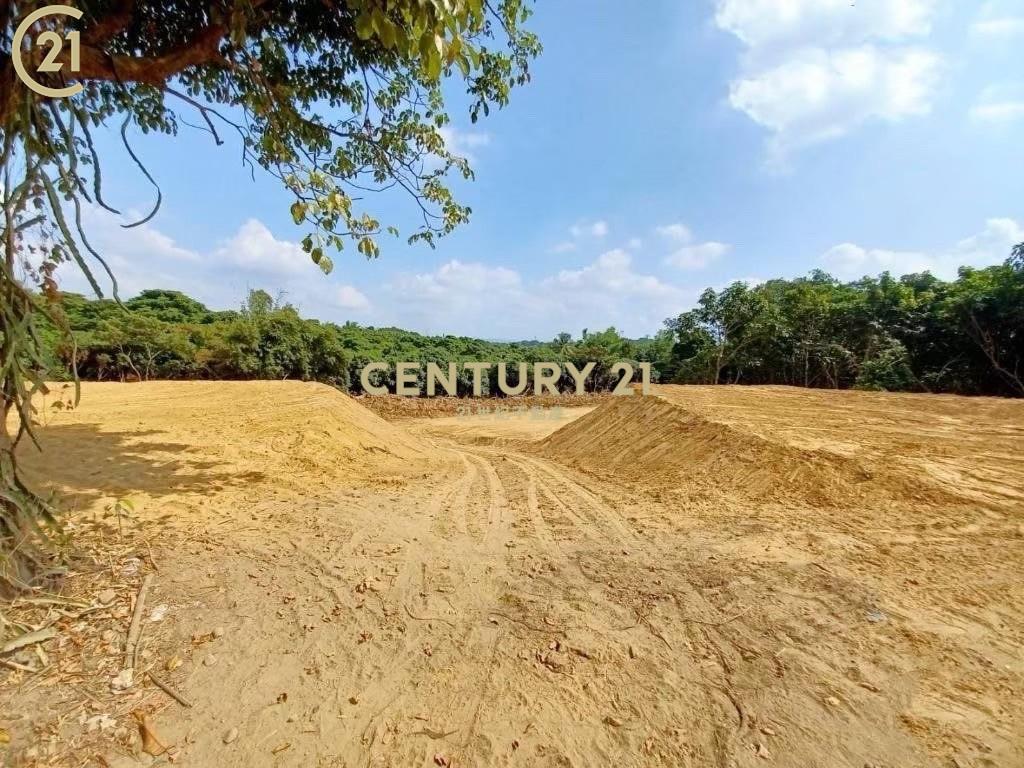 台南市大內平整美農地(二)