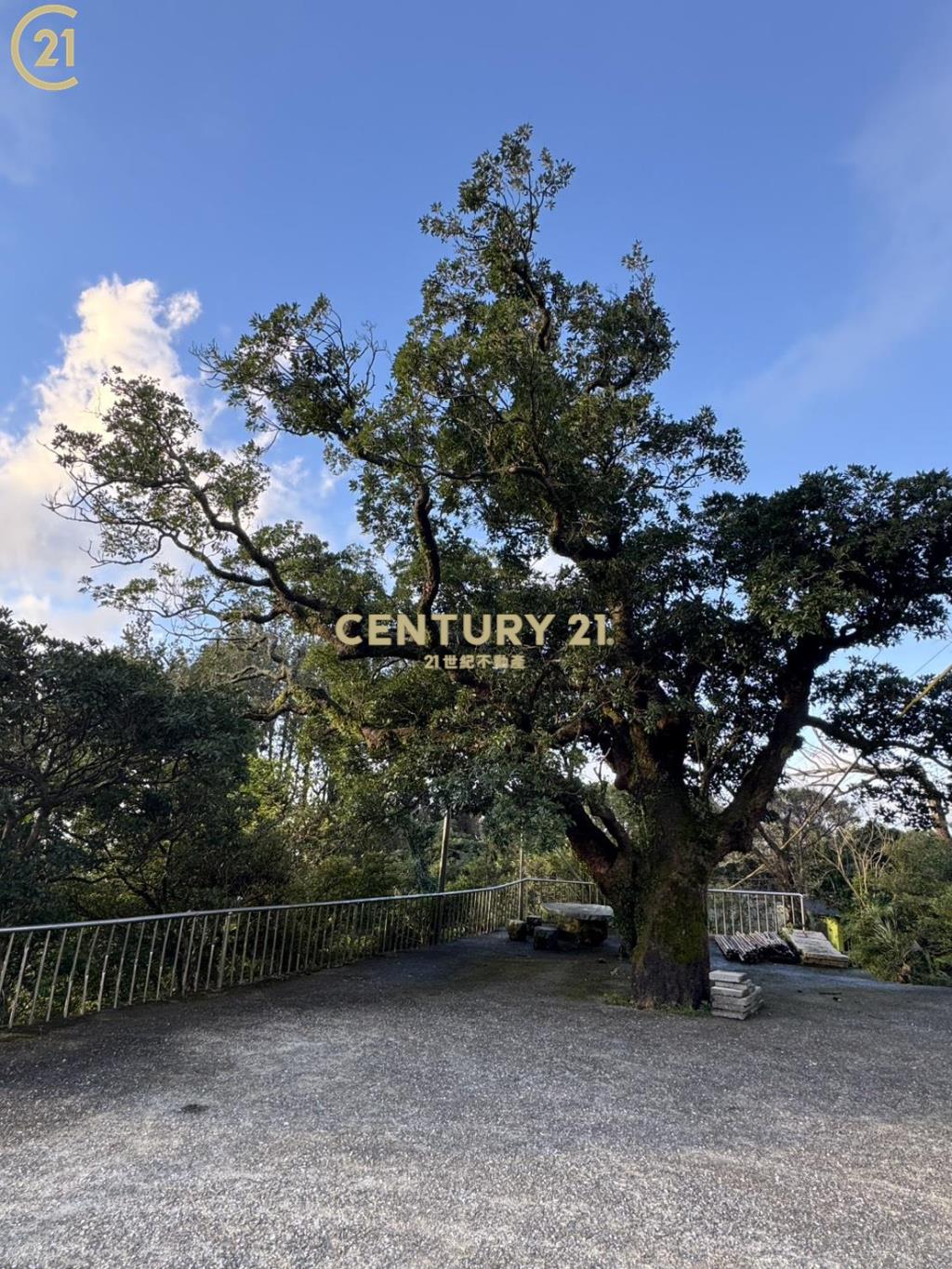 陽明山公園土地附合法建物