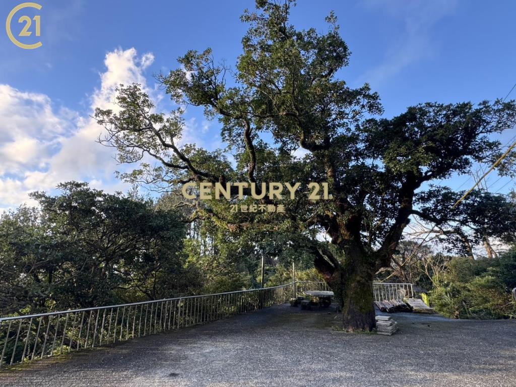 陽明山公園土地附合法建物